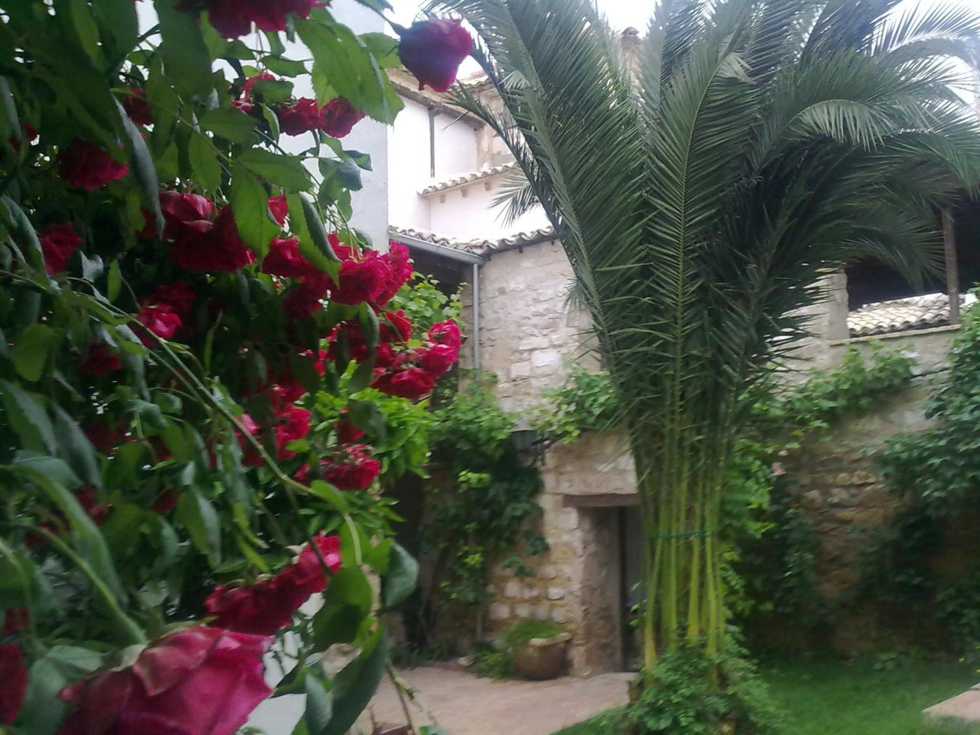 Apartamentos Turisticos El Losal Úbeda Eksteriør billede